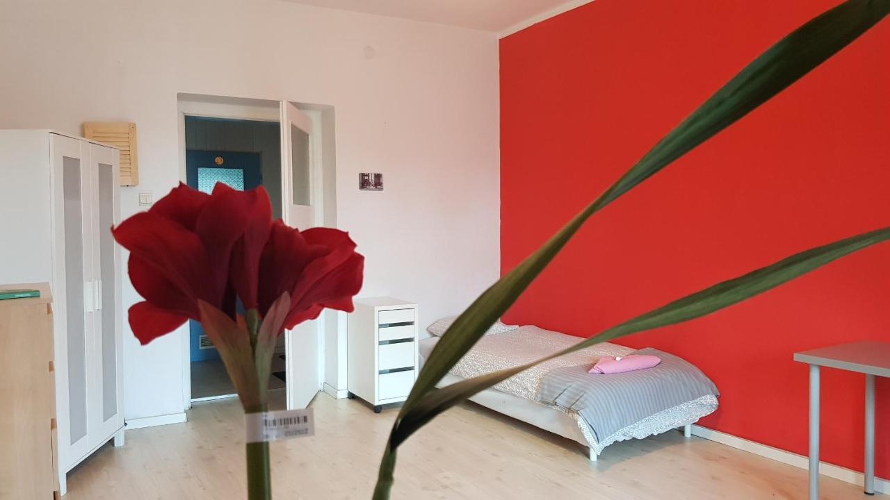 Cozy & Fun Rooms Wojewodzka, Chopina, Damrota Katowice Ngoại thất bức ảnh